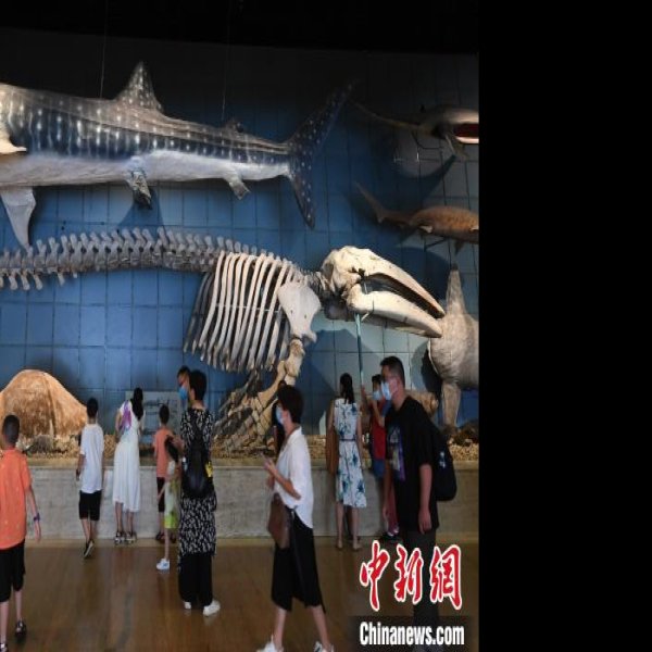 浙江博物馆 - 图片8