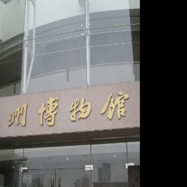 温州博物馆 - 图片10