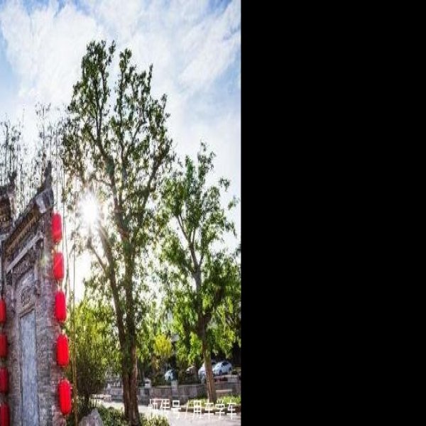 阜阳古城 - 图片4
