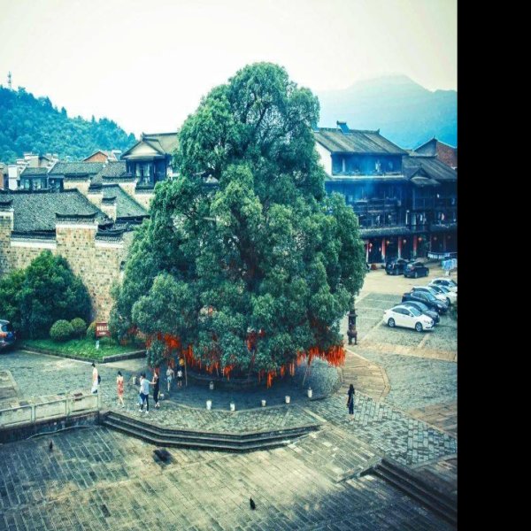 鹰潭古城 - 图片7