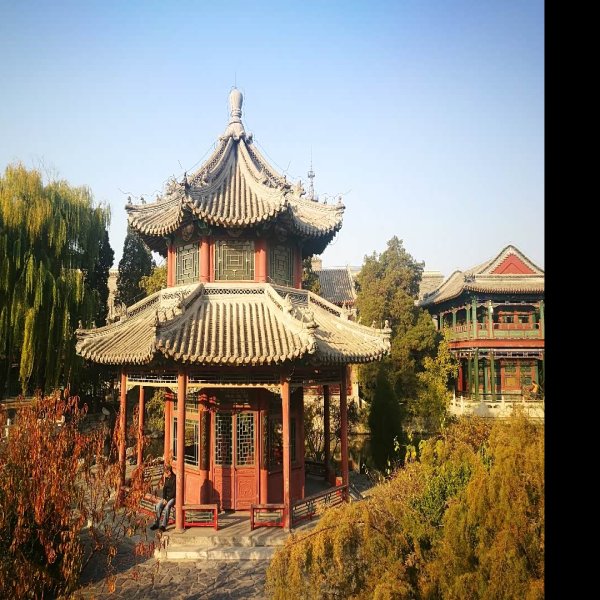 保定古莲花池 - 图片5