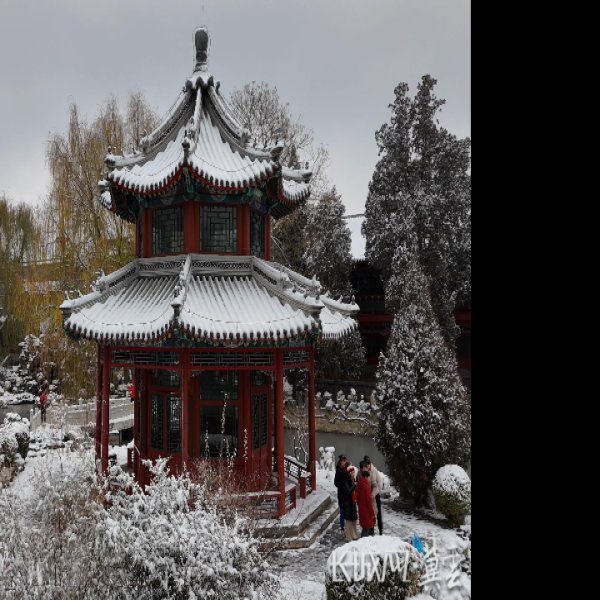 保定古莲花池 - 图片8