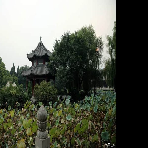 保定古莲花池 - 图片9