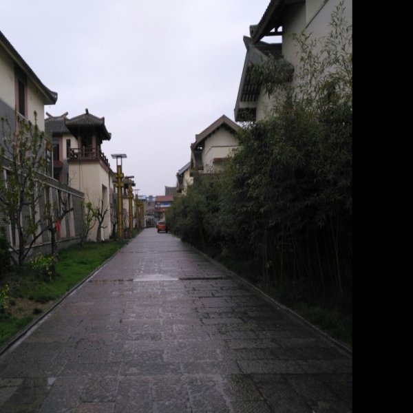衡水古城 - 图片3