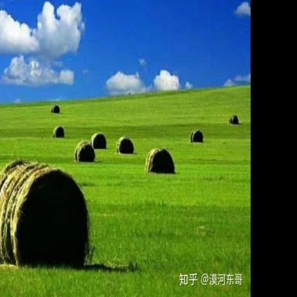 呼伦贝尔草原 - 图片3