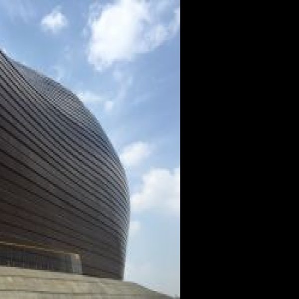 鄂尔多斯博物馆 - 图片6