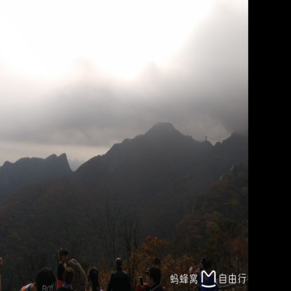 凤凰山 - 图片4