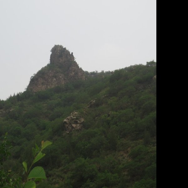凤凰山 - 图片5