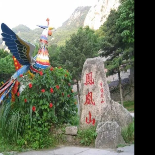 凤凰山 - 图片8