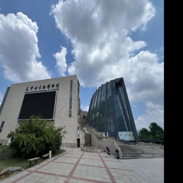 辽宁博物馆 - 图片7