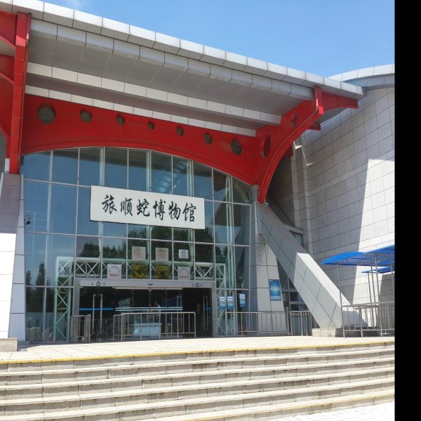 大连博物馆 - 图片9