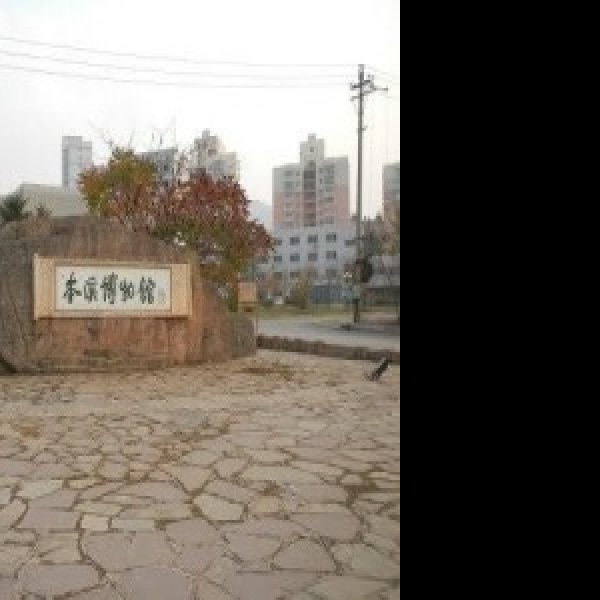 本溪博物馆 - 图片1