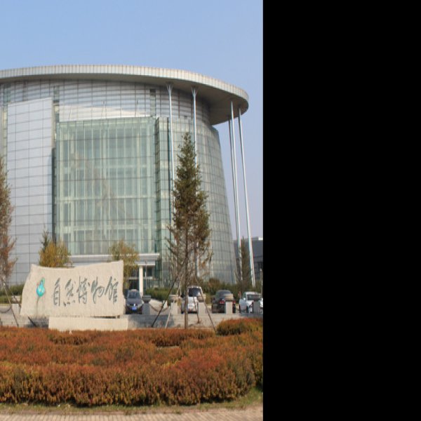 长春博物馆 - 图片8