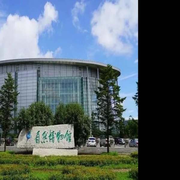 吉林博物院 - 图片4