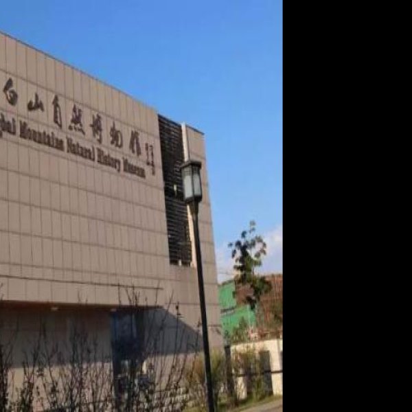 白山博物馆 - 图片2