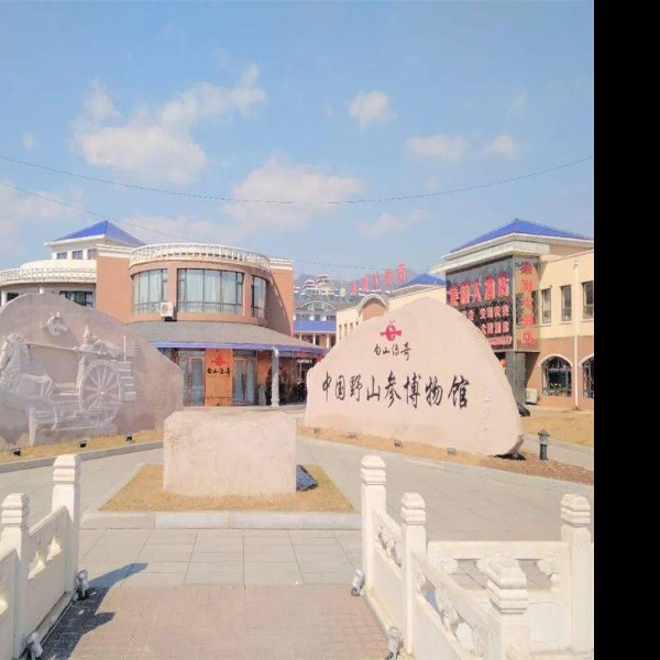 白山博物馆 - 图片9