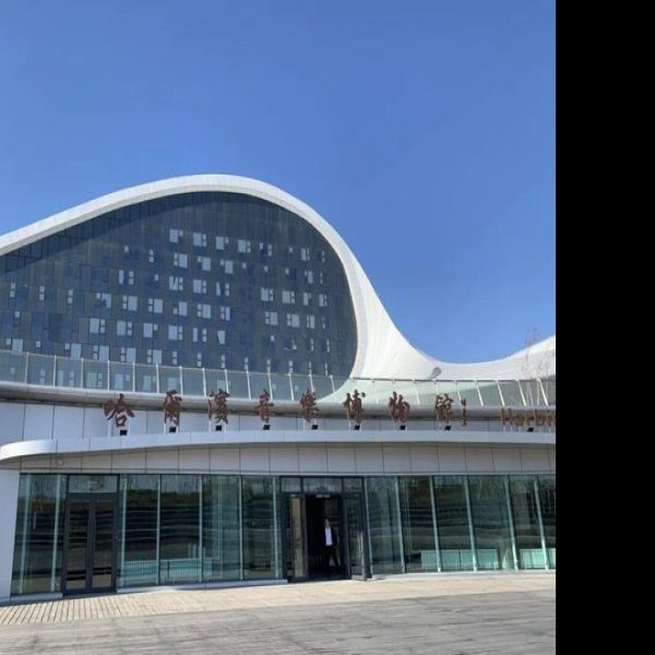 哈尔滨博物馆 - 图片6