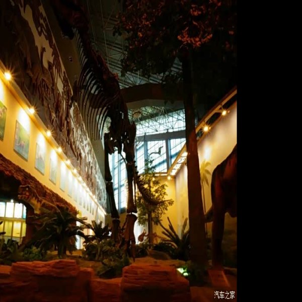 伊春博物馆 - 图片1