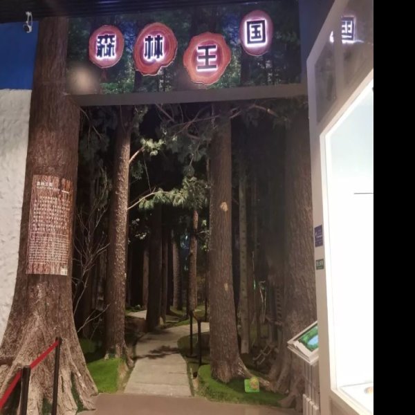 鹤岗博物馆 - 图片5