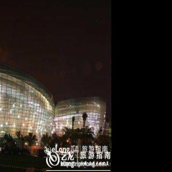 上海东方艺术中心 - 图片4
