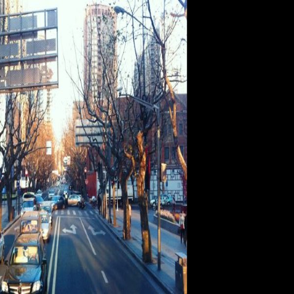 上海淮海路 - 图片5