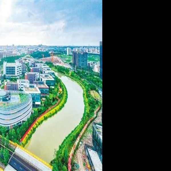 上海张江高科技园区 - 图片2