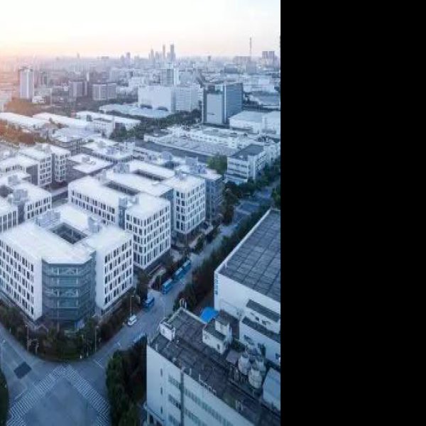 上海外高桥保税区 - 图片10