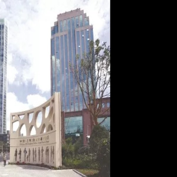 上海外高桥保税区 - 图片4