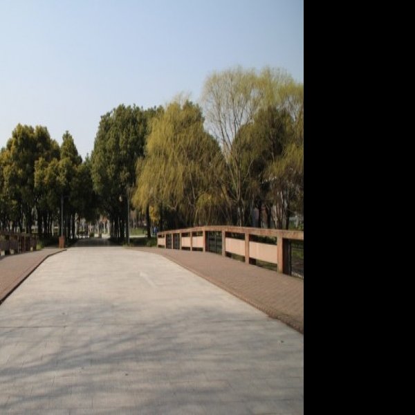 上海世纪公园 - 图片10