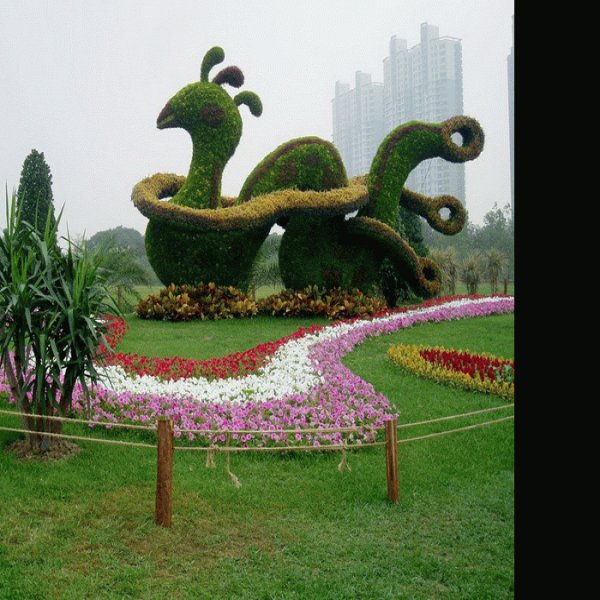 上海世纪公园 - 图片4
