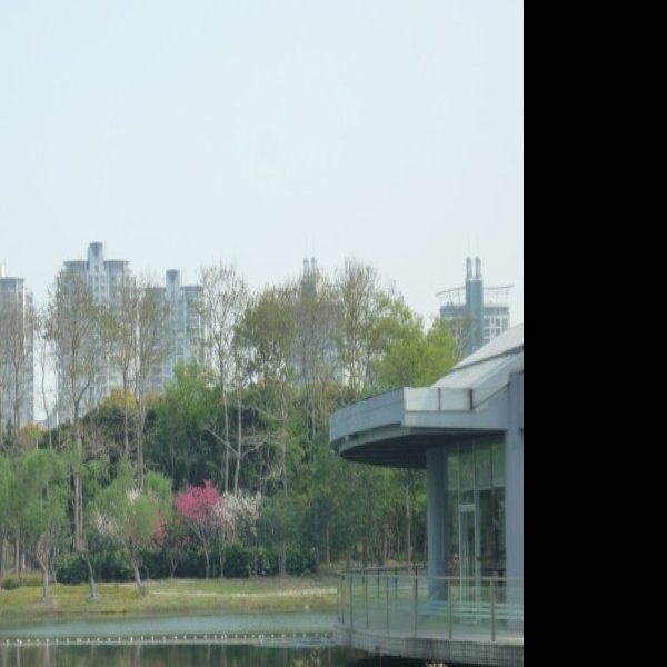 上海世纪公园 - 图片6