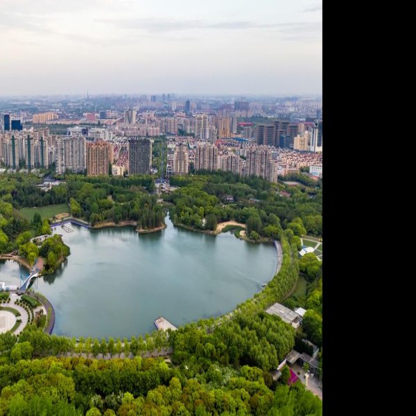 上海世纪公园 - 图片8
