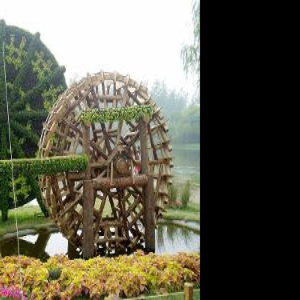 上海世纪公园 - 图片9