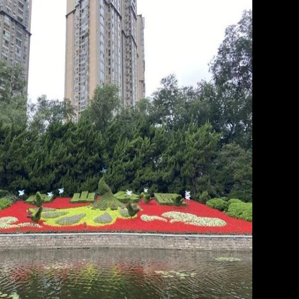 上海中山公园 - 图片2