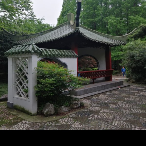 上海中山公园 - 图片6