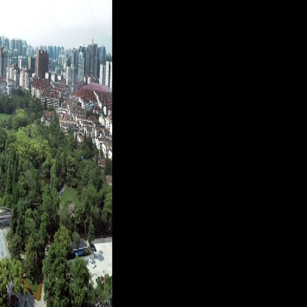 上海中山公园 - 图片8