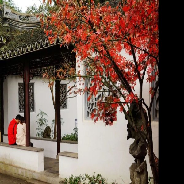 上海古猗园 - 图片3