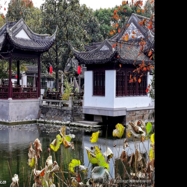 上海古猗园 - 图片4