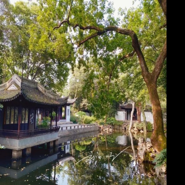 上海秋霞圃 - 图片4