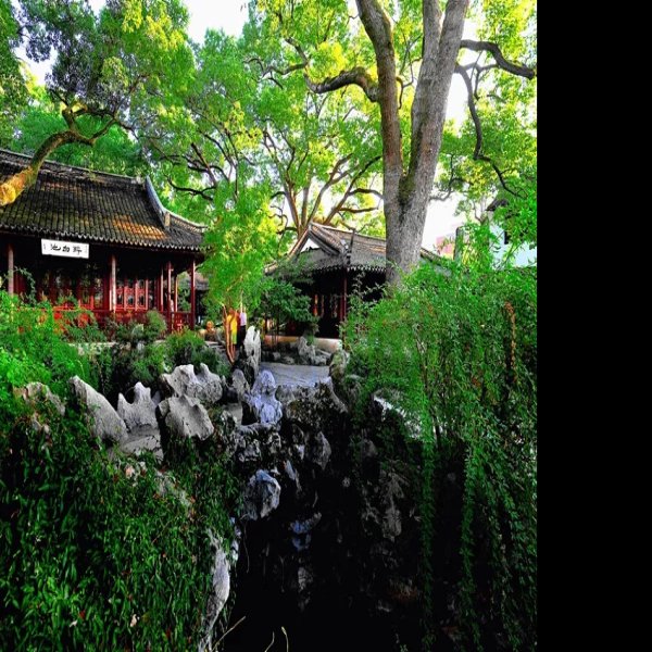 上海醉白池 - 图片3