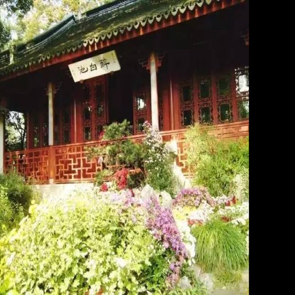 上海醉白池 - 图片5