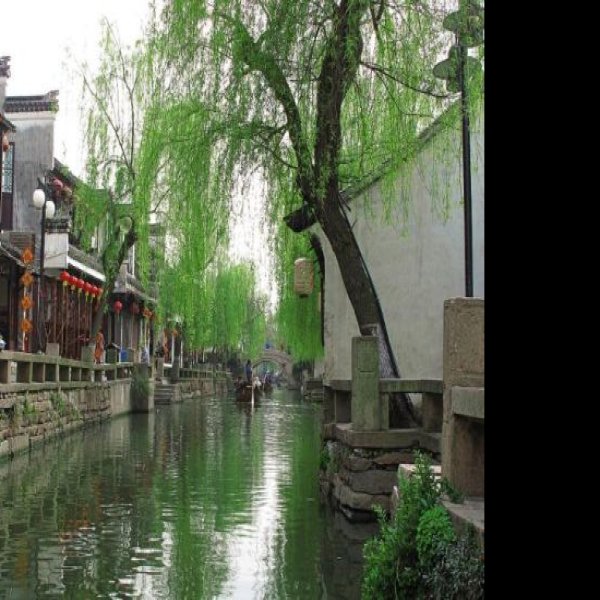周庄 - 图片6
