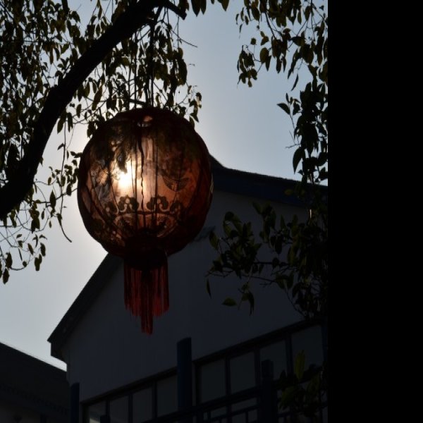 千灯 - 图片3