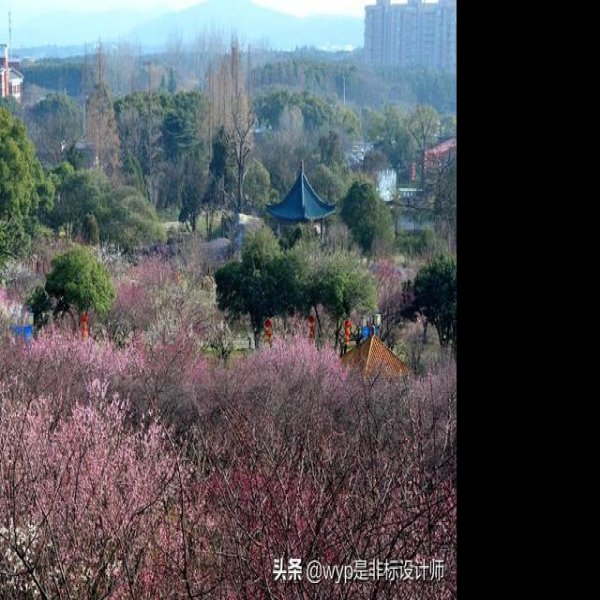 无锡梅园 - 图片2