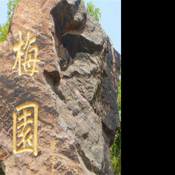 无锡梅园 - 图片6