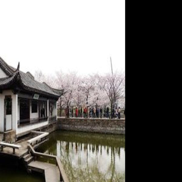 无锡蠡园 - 图片5