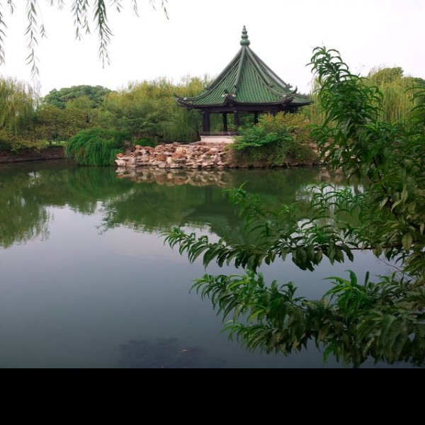 无锡蠡园 - 图片9