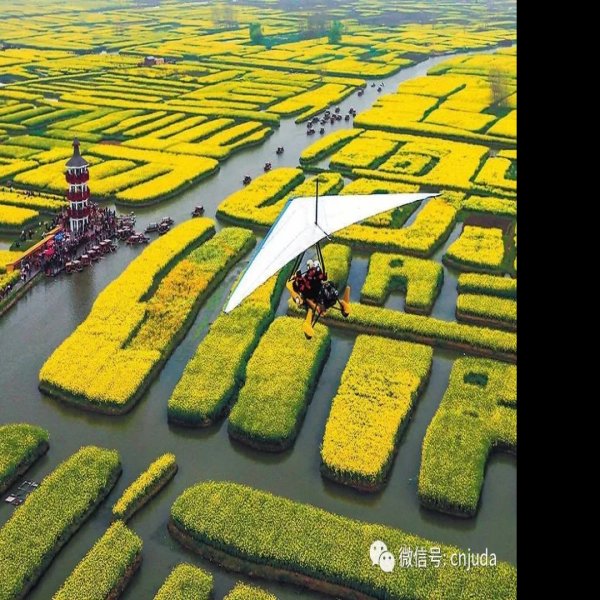 兴化垛田 - 图片1