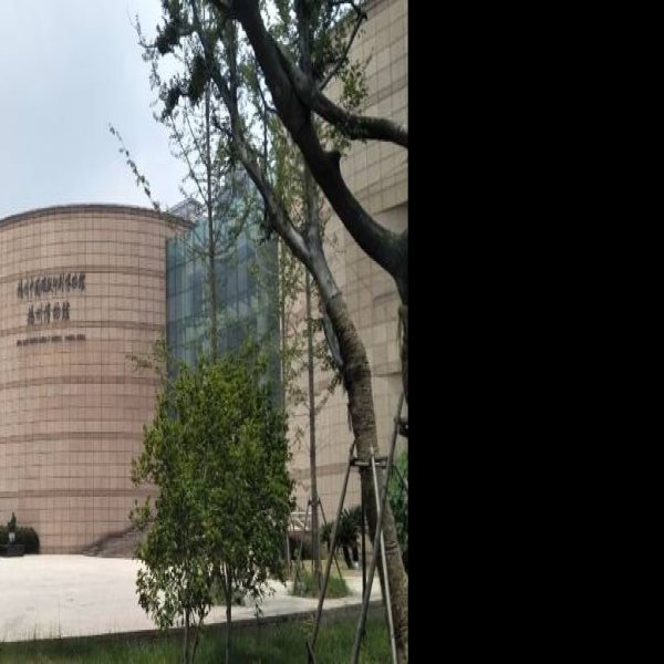 江苏省博物馆 - 图片3