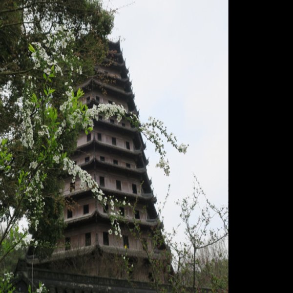 六和塔公园 - 图片2